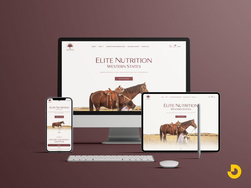 Start With Responsive Web Design Services